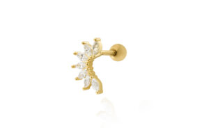 Arch zirconia cartlage