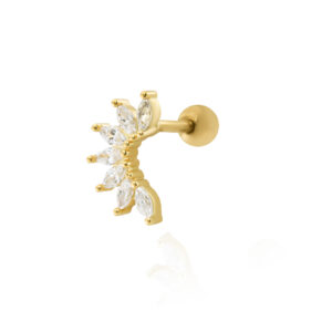 Arch zirconia cartlage